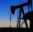 Депутат из Удмуртии Алексей Чулкин отказался от выигранного у «Роснефти» месторождения - Сусанин