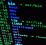 Джон Маккейн заявил о связях WikiLeaks с Россией - Сусанин