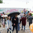 День города стал ярче и интереснее с Летней ярмаркой - Выставочный Центр