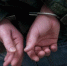 В Завьяловском районе задержан 29-летний насильник - Известия Удмуртской Республики