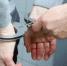 Суд арестовал главного эксперта-криминалиста МВД Петра Гришина на два месяца - Сусанин