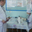 Ветеринарные врачи государственной ветеринарной службы Удмуртской Республики – эксперты чемпионата «World Skills» - Главное управление ветеринарии