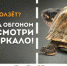 В Ижевске стартовала социальная кампания «Повод для обгона» - Деловой квадрат