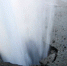 1456051936 1photo 26388 - Udm-info.Ru