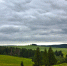 4667265 large - Udm-info.Ru