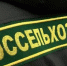 В Приморском крае изъяли 20 тонн китайского желатина - Udm-info.Ru