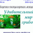 Публичный лекторий "Знание-сила". Первая лекция - УдГУ