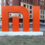 Компания Xiaomi попала в Книгу рекордов Гиннеса - Сусанин