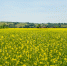 19704362082 d51b060b99 o - Udm-info.Ru