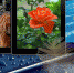 Phone 1513263 960 720 - Udm-info.Ru