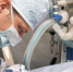 Veterinarian 809930 960 720 - Udm-info.Ru