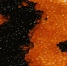 Caviar 1084718 960 720 - Udm-info.Ru