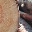 Blockhouse 2458257 960 720 - Udm-info.Ru