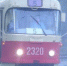 5+%d1%82%d1%80%d0%b0%d0%bc%d0%b2 - Udm-info.Ru