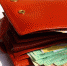 Money ukrainian hryvnia wallet 1376 - Udm-info.Ru