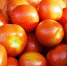 Tomato 3195845 960 720 - Udm-info.Ru