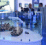 ИЭМЗ «Купол» представит на IDEX-2019 ЗРК малой дальности «Тор» - Известия Удмуртской Республики