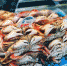 Dish meal food vegetable seafood market 154460 pxhere.com - Udm-info.Ru