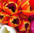Pxhere.com - Udm-info.Ru
