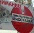 Заболеваемость мышиной лихорадкой в Удмуртии снизилась в 3,4 раза - Деловой квадрат