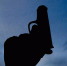 В Подмосковье неизвестный открыл огонь по двум иностранцам - Сусанин