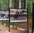 Фотогалерея ХК «Ижсталь» открылась в парке Кирова - Известия Удмуртской Республики