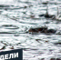 Удмуртия в минуту: главные новости недели - Сусанин