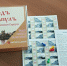 Школьник из Сарапула придумал настольную игру про купеческий город - Сусанин