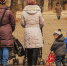 Park 2531533 960 720 - Udm-info.Ru
