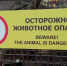 lov3CQFNWt4.jpg - Зоопарк Удмуртии