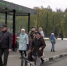 На удлинение новых остановок власти Ижевска потратят почти 1,5 млн рублей - Сусанин