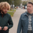 Площадка для выгула собак появится в Ижевске к концу ноября - Udm-info.Ru