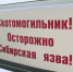 Житель Удмуртии похитил ограждение сибиреязвенного скотомогильника - Известия Удмуртской Республики