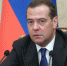 Медведев поручил ФАДН открыть Дом народов России - Министерство национальной политики