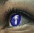 Facebook не дал властям США прочитать зашифрованные данные пользователей - Сусанин