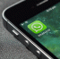 Хакеры заразили WhatsApp «новогодним вирусом» - Сусанин