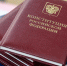 Социальные поправки в Конституцию поддержали 90% опрошенных россиян - Izhevskinfo.Ru