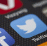 В Бразилии начали тестировать новую функцию Twitter - Сусанин
