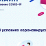Специальный портал с сервисами для самоизолированных создали в России - Сусанин