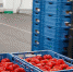 Поставщики предупредили о росте стоимости продуктов на 5-20% - Izhevskinfo.Ru