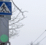 Два новых пешеходных перехода и дорожные знаки появятся в Ижевске - Udm-info.Ru