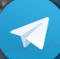 Депутаты Госдумы предложили разблокировать Telegram на время ЧС - Сусанин