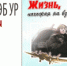 Читаем книги о войне в НЭБ УР - Национальная библиотека Удмуртии