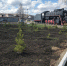 IMG-8507fe798c10c0ec714fd21b2d52bb7d-V.jpg - Министерство транспорта
