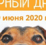 В Ижевске стартовала благотворительная акция «Верный друг» - Информационно-аналитическое управление г. Ижевск