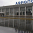 Удмуртской транспортной прокуратурой приняты мер к администрации аэропорта в целях орнитологического обеспечения безопасности полетов - Транспортная прокуратура