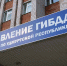 Регистрационные отделы ГИБДД по Удмуртии возобновили прием граждан - Деловой квадрат