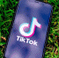 В TikTok отказались прекращать свою работу в США - Сусанин