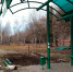 IMG_20201028_093841 - ОМВД Удмуртской Республики