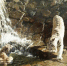 Лучшие пловцы зоопарка👍🏻 - Зоопарк Удмуртии